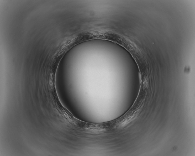 X0000091561156200708171320