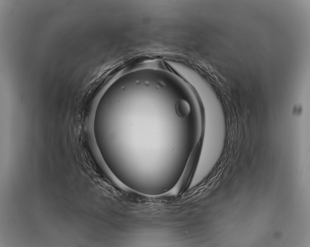 X0000091561157200708171320