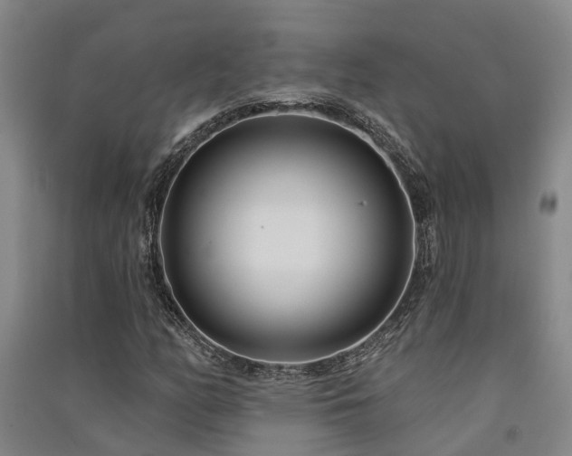 X0000091561158200708171320