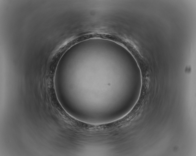 X0000091561159200708171320