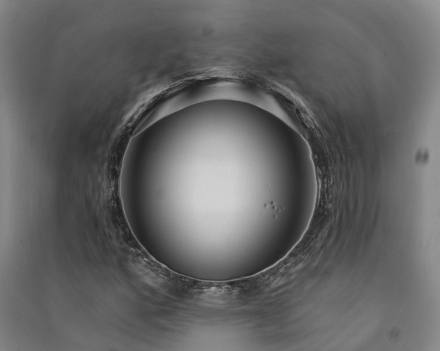 X0000091561160200708171320