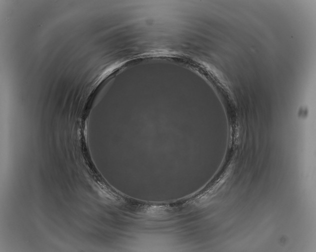 X0000091561161200708171320