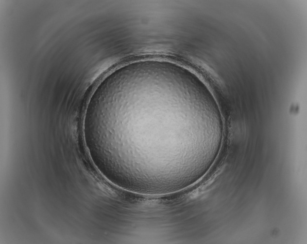 X0000091561162200708171320