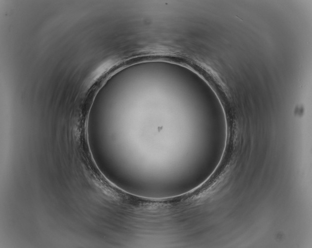 X0000091561163200708171320