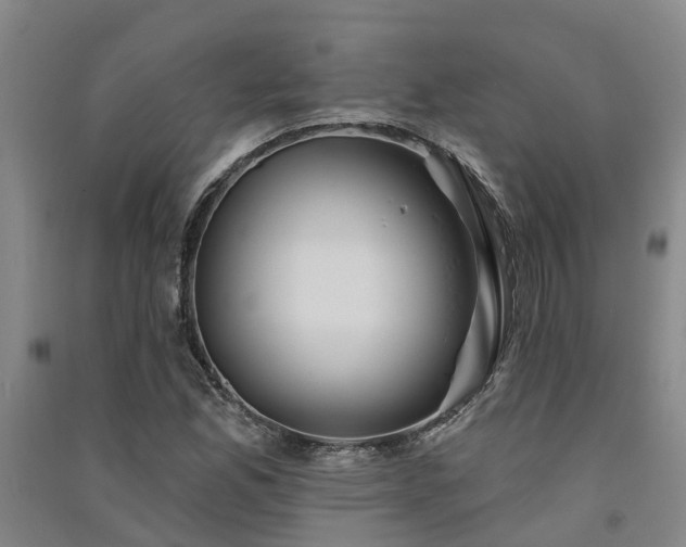 X0000091561165200708171320