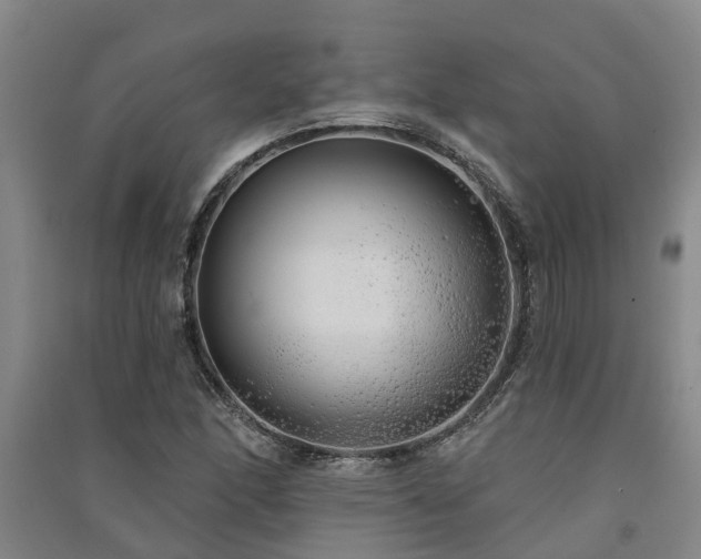 X0000091561166200708171320