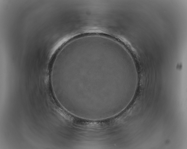 X0000091561167200708171320