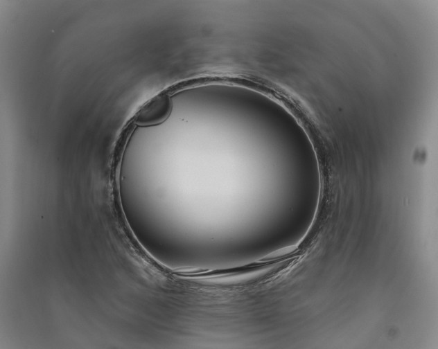 X0000091561168200708171320