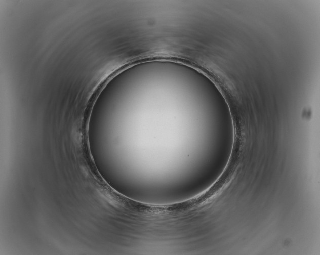 X0000091561170200708171320