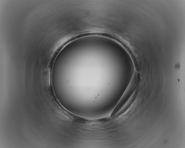 X0000091561171200708171320