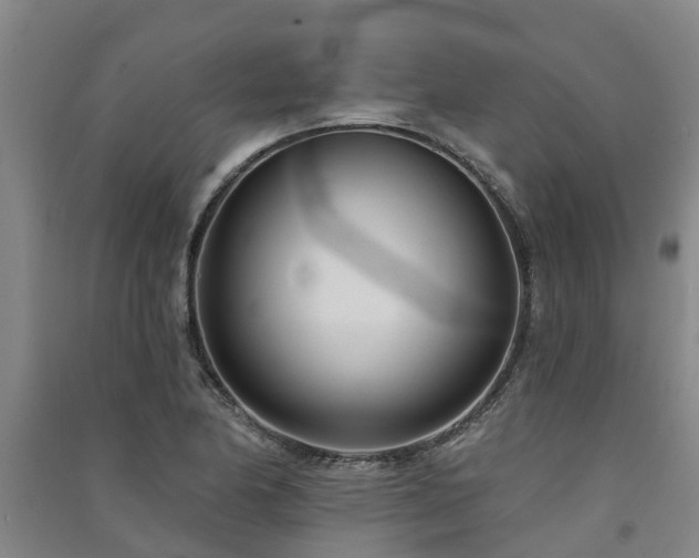 X0000091561174200708171319