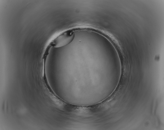 X0000091561175200708171319