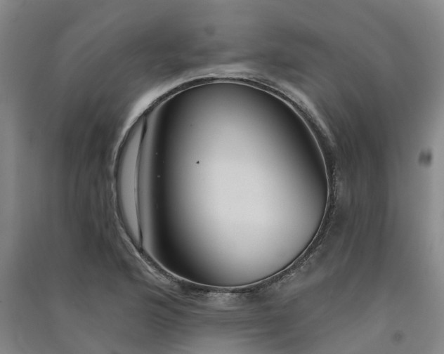 X0000091561176200708171319