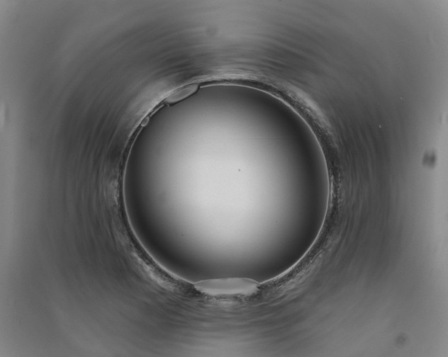 X0000091561177200708171319