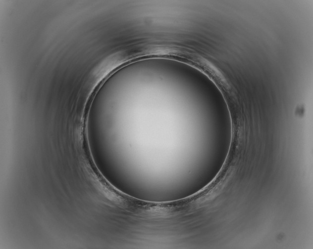 X0000091561178200708171319