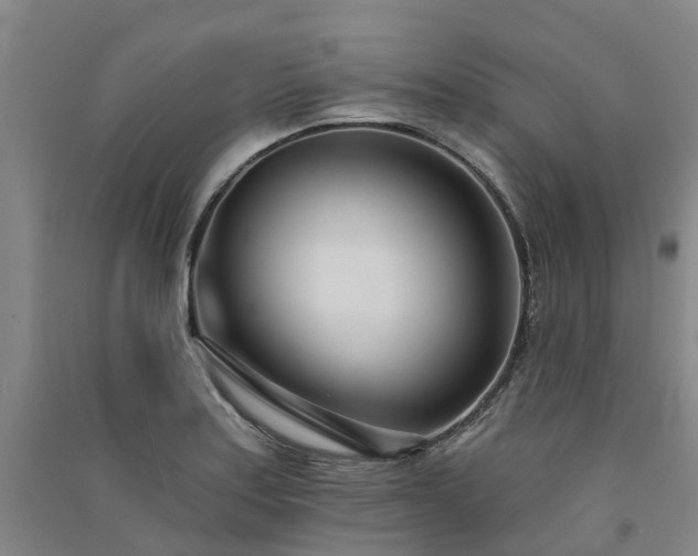 X0000091561179200708171319