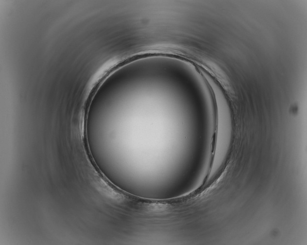 X0000091561180200708171319