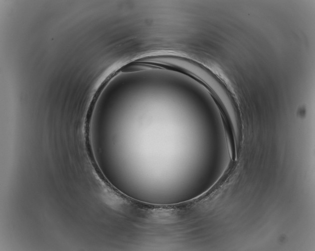 X0000091561181200708171319