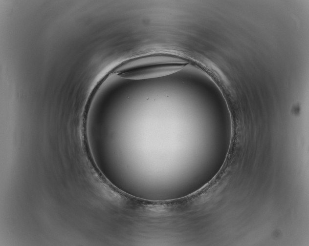 X0000091561182200708171319