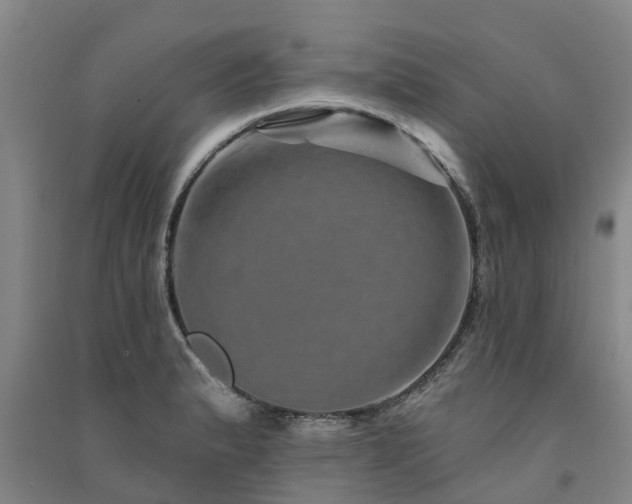 X0000091561183200708171319