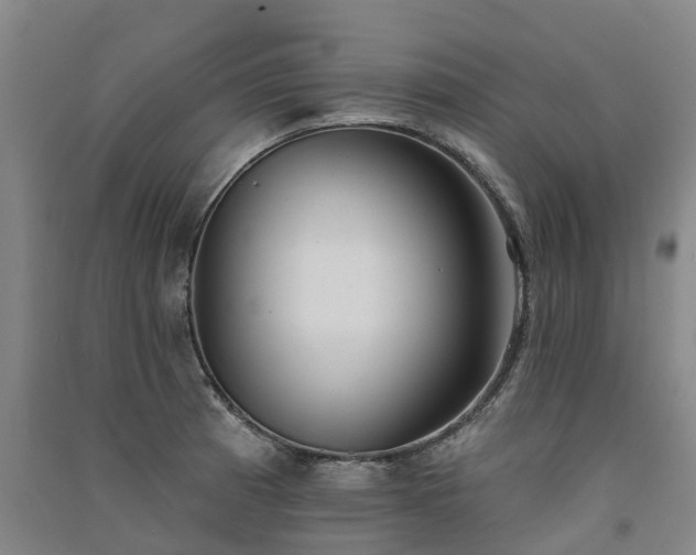 X0000091561185200708171319