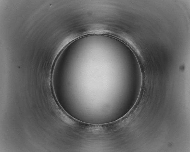 X0000091561186200708171319