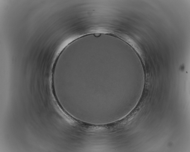 X0000091561187200708171319