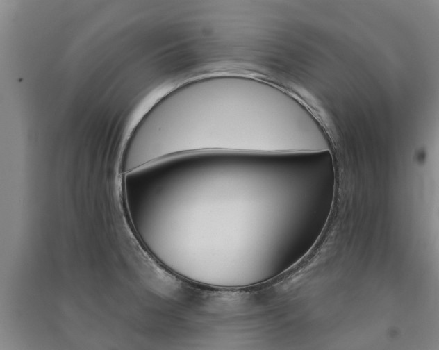 X0000091561188200708171319