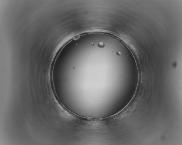 X0000091561189200708171319