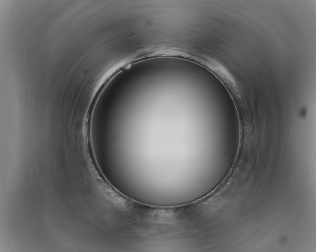 X0000091561190200708171319