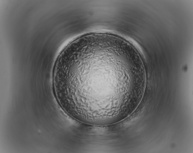 X0000091561191200708171319