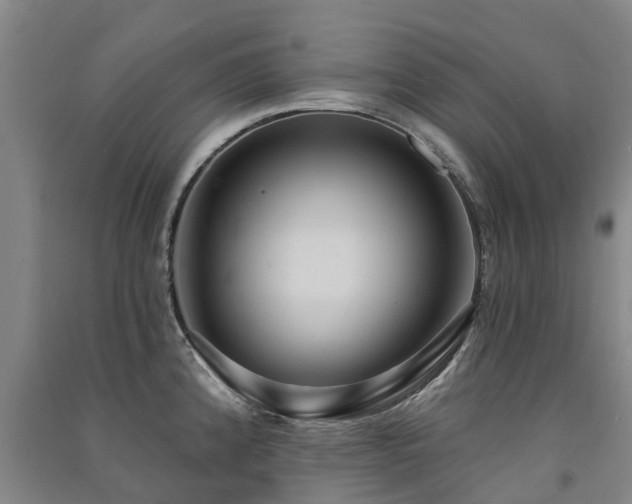 X0000091561192200708171319