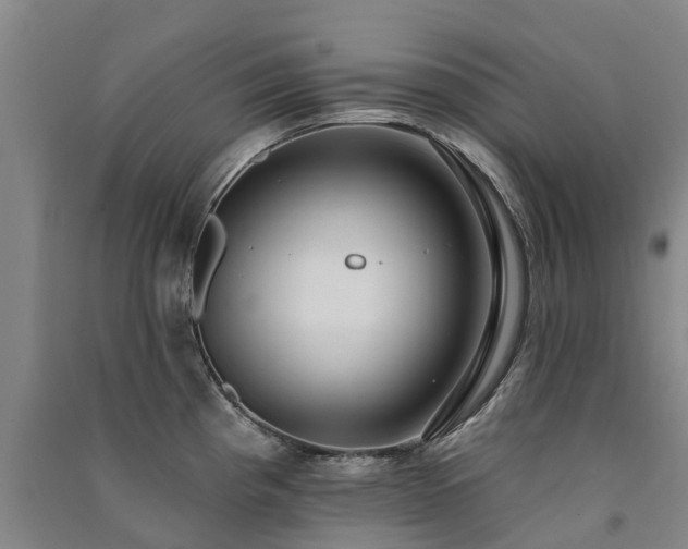 X0000091561193200708171319