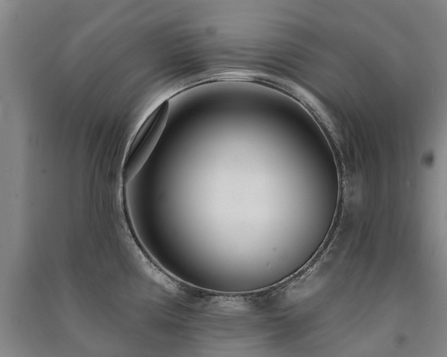 X0000091561194200708171319