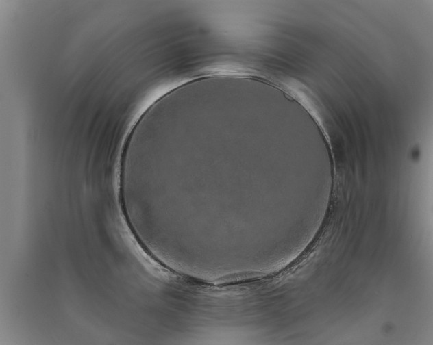 X0000091561195200708171319