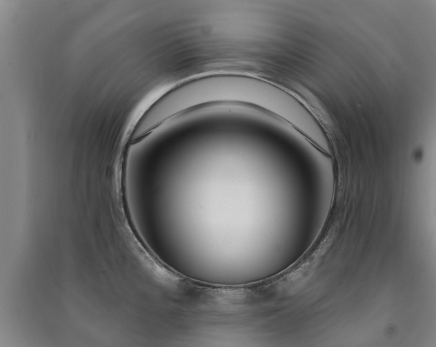 X0000091561196200708171319