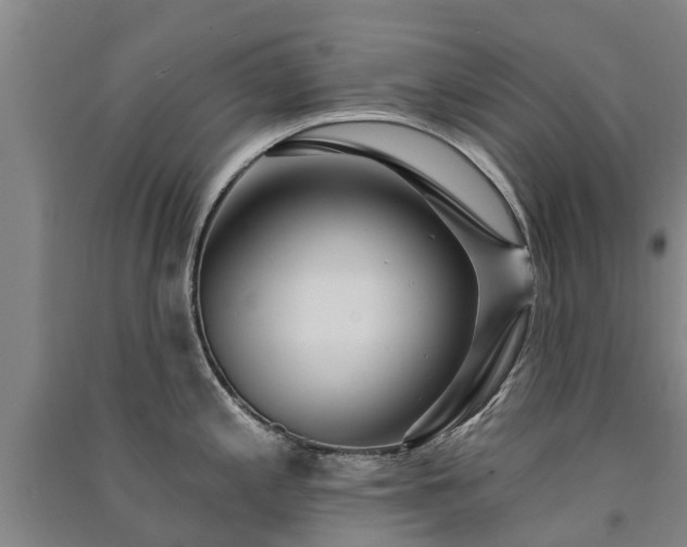 X0000091561197200708171319