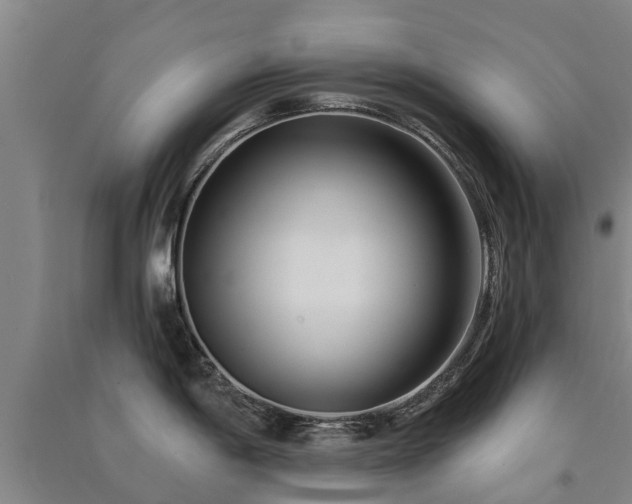 X0000091561198200708171319