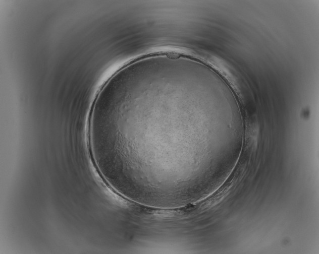 X0000091561199200708171319