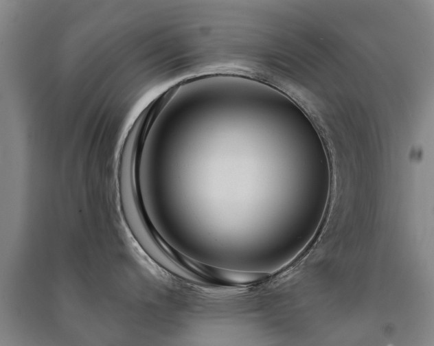 X0000091561200200708171319