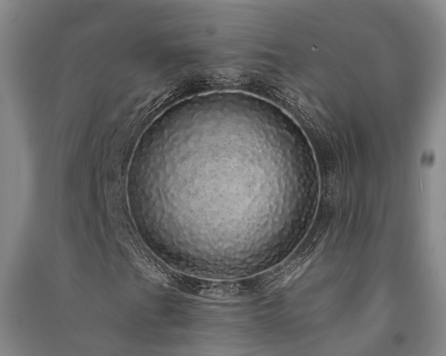 X0000091561201200708171318