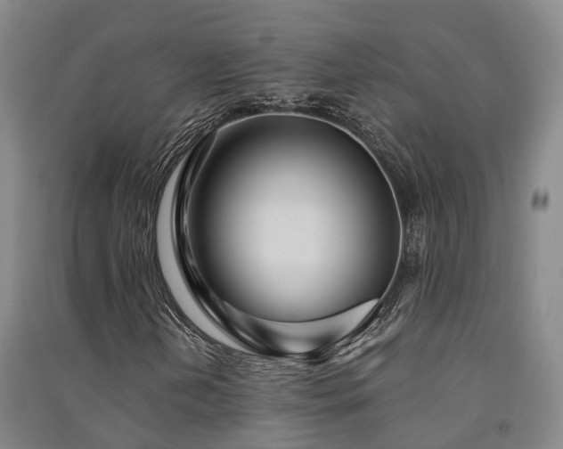 X0000091561202200708171318