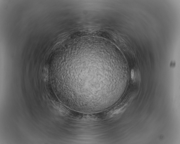 X0000091561203200708171318