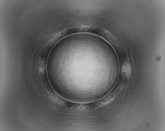 X0000091561204200708171318