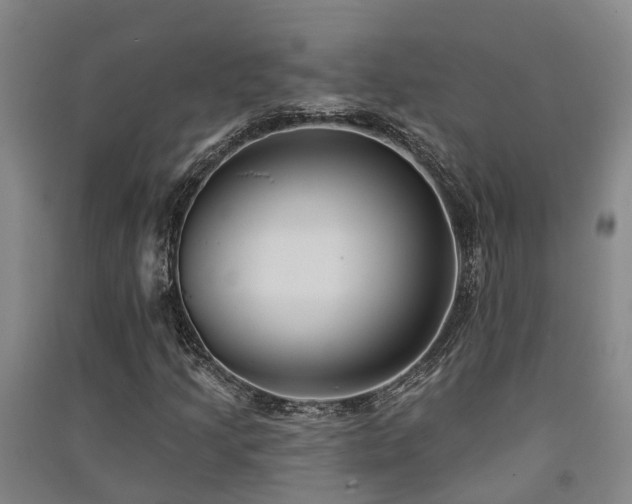 X0000091561205200708171318