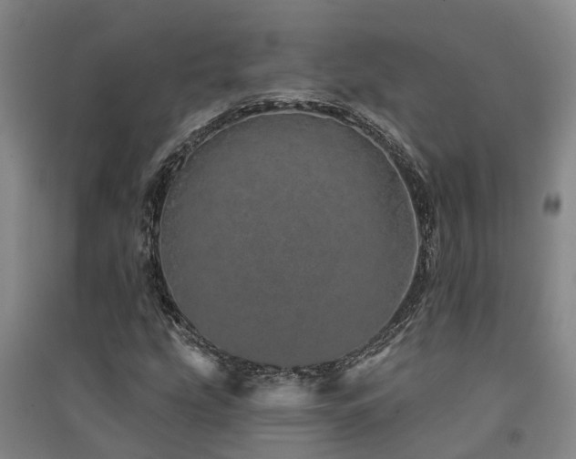 X0000091561207200708171318