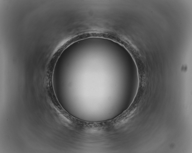 X0000091561208200708171319