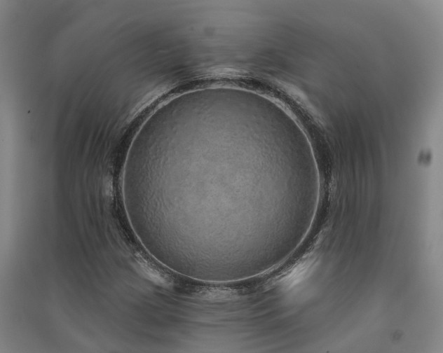 X0000091561209200708171319