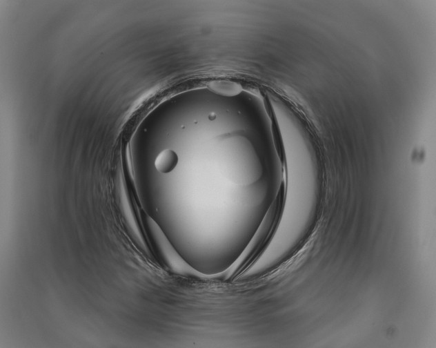 X0000091561210200708171319