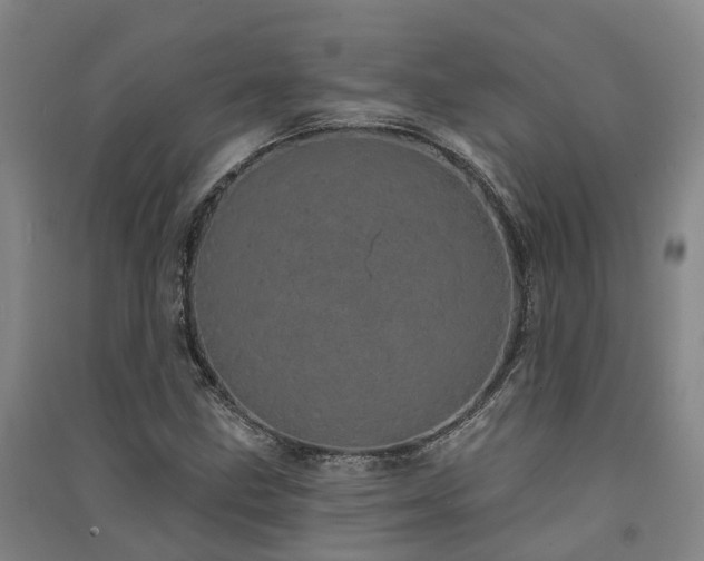 X0000091561211200708171319